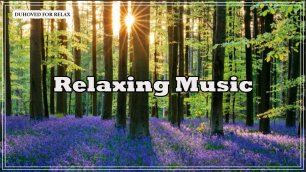 Релаксация 😴 Красивая Музыка Для Расслабления 😴 Хорошая Фортепианная Музыка Для Расслабления