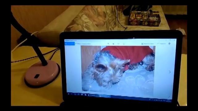Кем стану, когда вырасту? Выбираем профессию!