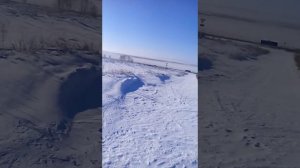Охота с соколом.