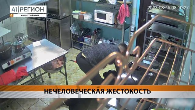 НЕЧЕЛОВЕЧЕСКАЯ ЖЕСТОКОСТЬ • НОВОСТИ КАМЧАТКИ