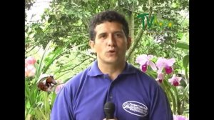 Muestra Bovina y Orquideorama Tequendama- San Antonio- TvAgro por Juan Gonzalo Angel