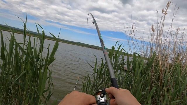 Думал мелочь, а там...Рыбалка без всяких приключений. Ставропольский край, Сенгелеевское Егорлык