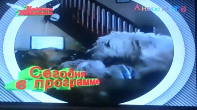 УЛЁТНЫЕ ЖИВОТНЫЕ ЧАСТЬ 1 смотреть онлайн