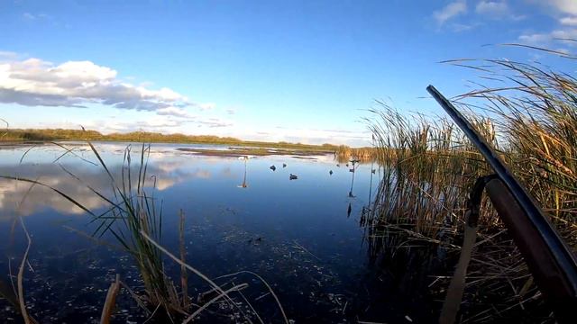 Сломали уазик, набрал в сапоги, охота на утку 2021 в Сибирских болотах. Охота 2021 смотреть онлайн