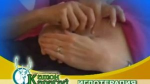 Пантолечение Катон-Карагайский р-н ВКО ТОО ЕКI ДОС