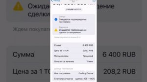 Обмен монеты Ton на рубли в кошельке Телеграм Wallet