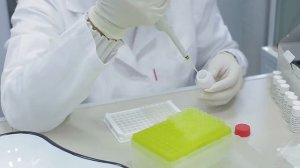 Техника выполнения ИФА исследования