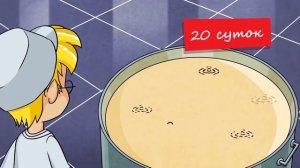 Профессор Почемушкин   Зачем в сыре дырки