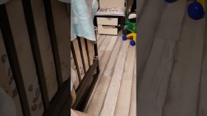 Дрессированный сфинкс