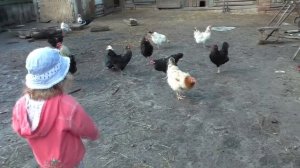 Животные для детей в деревне На ферме Animals for kids in the village on the farm