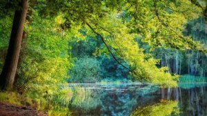 Gomer Edwin Evans. Öffne dein Herz, Pt. 1