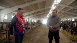 Как давать болюсы коровам? Инструкция по введению болюсов. Профилактика гипокальциемии у КРС.