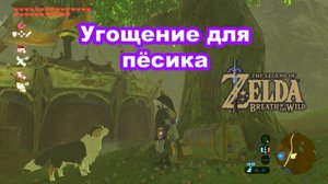 Угощение для пёсика. The Legend of Zelda Breath of the Wild. Nintendo Switch