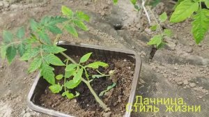 Куда же пристроить?