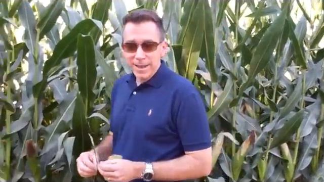 Jack Turman , Jr Intro for PT Newsletter Aug 2012 смотреть онлайн