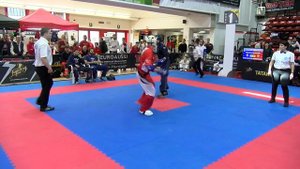 Daniele Farina v Antonio Lo Prete Pointfighting Cup 2017