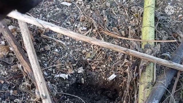 коп металла пират удивил смотреть онлайн