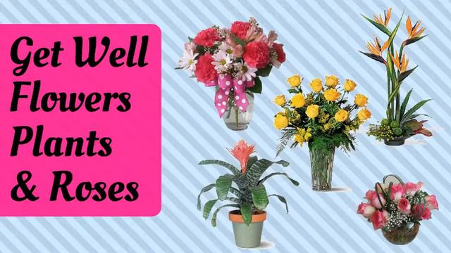 Houston Local Florist | Your Best Flower Shop in Houston