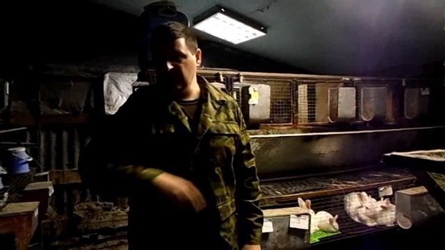 Курская обл. ЛПХ  Рыльский кролик