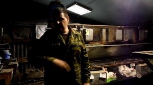 Курская обл. ЛПХ Рыльский кролик