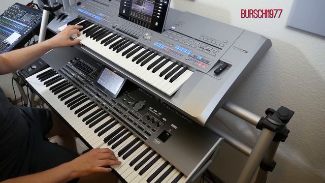 Despacito (Luis Fonsi) - Burschi1977 Cover Tyros 5/PA4x смотреть онлайн