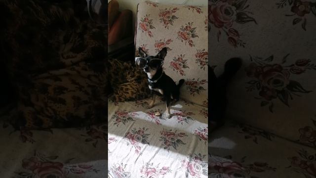 #начиле