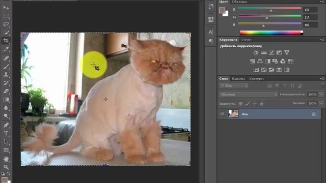 Как подготовить Картинку/Фотографию для загрузки на Сайт