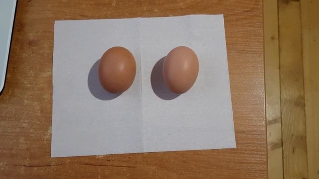 Барневельдеры,мои впечатления.Вес яйца и проверка на оплод. смотреть онлайн