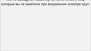 Как избавиться от насекомых в крупе