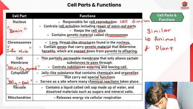 SECONDARY 1 SCIENCE | MODEL OF CELLS