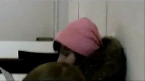 Веселая пара - Почвоведение=)