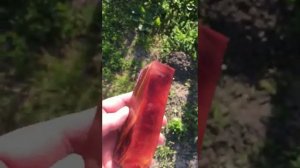 сувель березы - космос (стабилизация дерева)