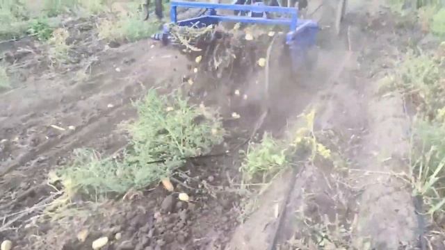 Картофелекопалка 2х рядная | Уборка картофеля (картошки) | Производство Украина