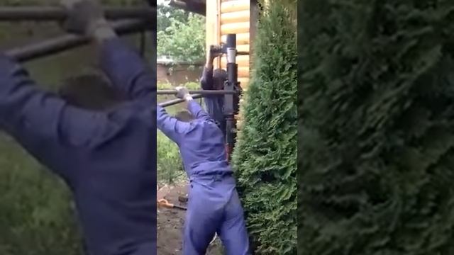 СВАЕКРУТ В ДЕЙСТВИИ смотреть онлайн