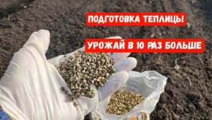 ПОДГОТОВКА ТЕПЛИЦЫ К 2023 СЕЗОНУ! УВЕЛИЧИВАЕМ УРОЖАЙ УЖЕ СЕЙЧАС, 2 Эффективных средства для грунта!