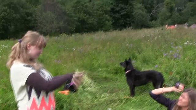 12.07.2014. День Рождения Маши - 01. Зоопарк. смотреть онлайн