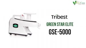 Тесто для блинов со шпинатом в горизонтальной соковыжималке Tribest Green Star