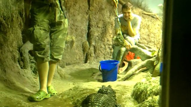 Геннадий с цыпочкой) смотреть онлайн