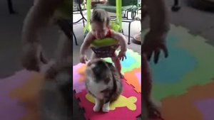 Кот воспитывает ребенка