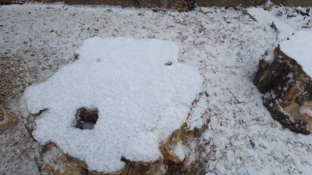 снежок идёт, Симферополь Крым 12.01.2022 г. смотреть онлайн