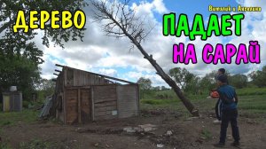 СПИЛИЛ ДЕРЕВО / РАЗБИРАЮ ПОСТРОЙКИ / ОЧИЩАЮ ТЕРРИТОРИЮ