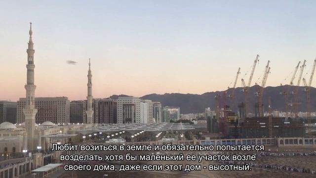 Значение имени Валерий. Толкование, судьба, характер смотреть онлайн