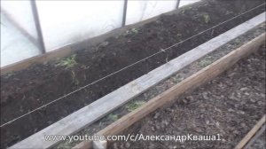 Грядки в теплице.  Вариант №2