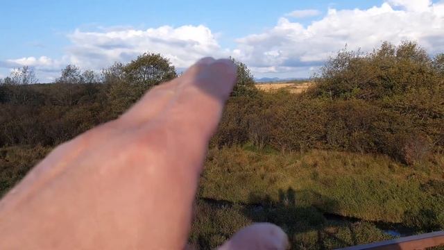 19. Грузия. Кобулети. Болота Испани. смотреть онлайн