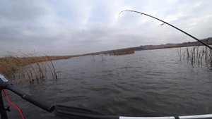 Обзор воблера ZipBaits Calibra, хитрости применения