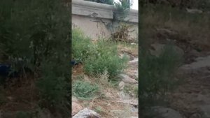 Каховское водохранилище. Никополь.
