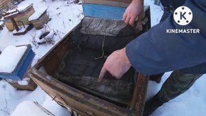 Зимовка на воле 2022г. (ноябрь). Любопытство...! Проверка вентиляции в ульях. Первые морозы!