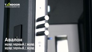 Горячая новинка от Tandor только поступила на склад?Входная дверь "Авалон"?