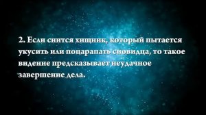 К чему снится черная пантера - Онлайн Сонник Эксперт