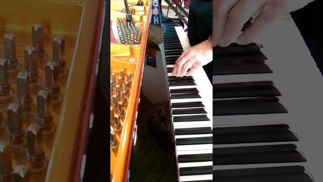 Effects of Cumulative Errors in Equal Temperament Tuning смотреть онлайн